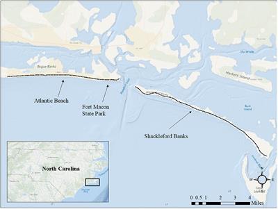 Robotic Vehicles Enable High-Resolution Light Pollution Sampling of Sea Turtle Nesting Beaches